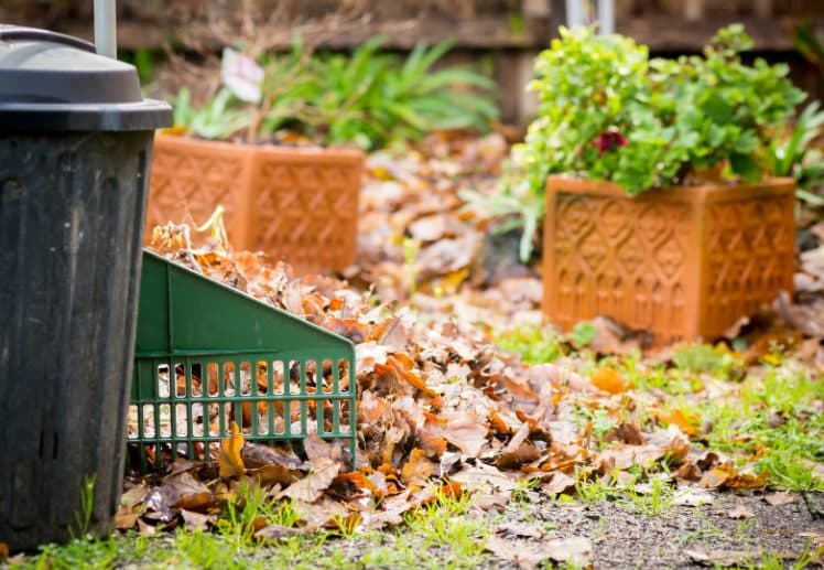 Yard Waste Removal