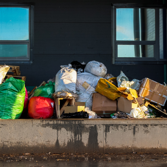 Pro Tips for Junk Removal: Sanford Homeowners' Secret to an Organized Life