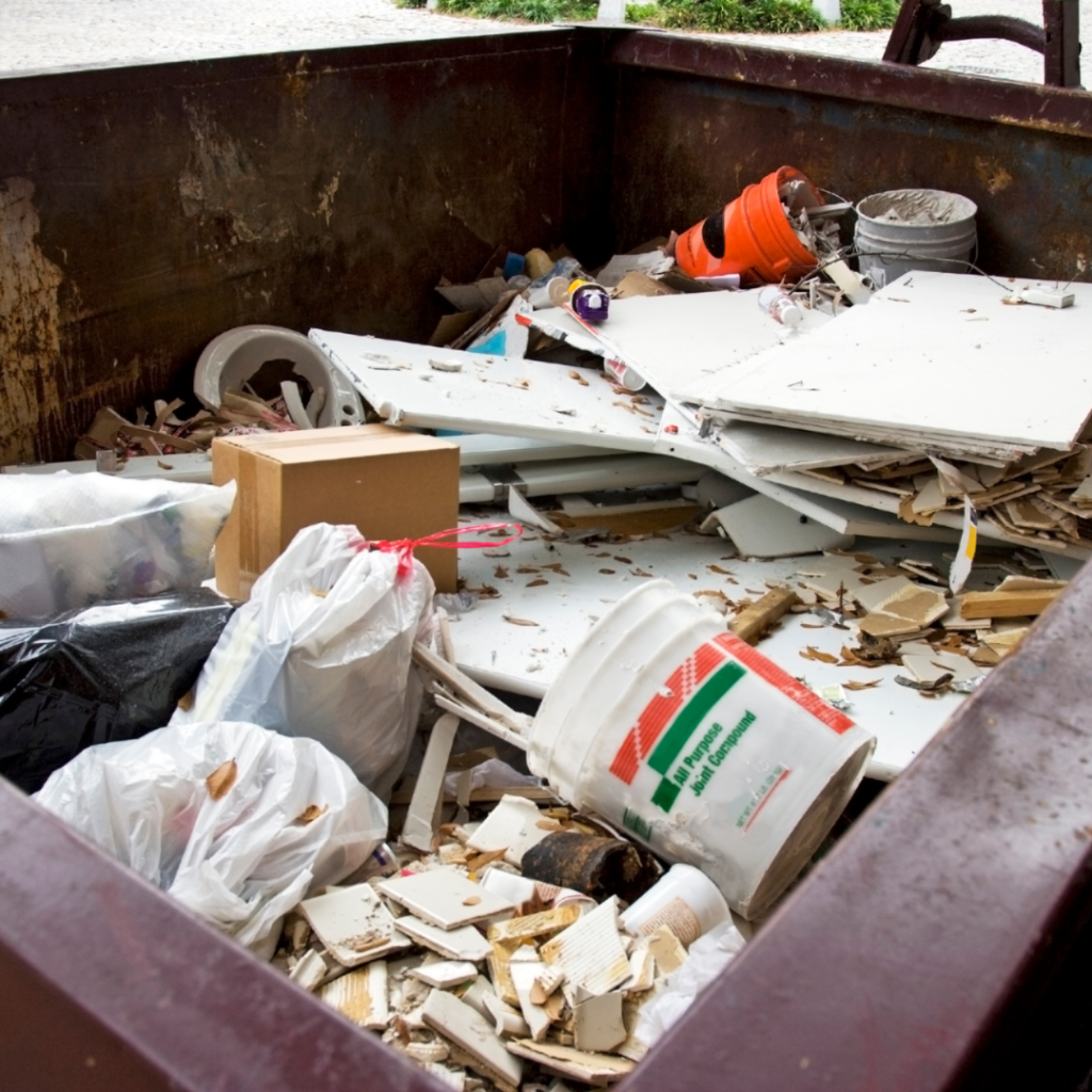 Why Professional Junk Removal is Worth the Cost