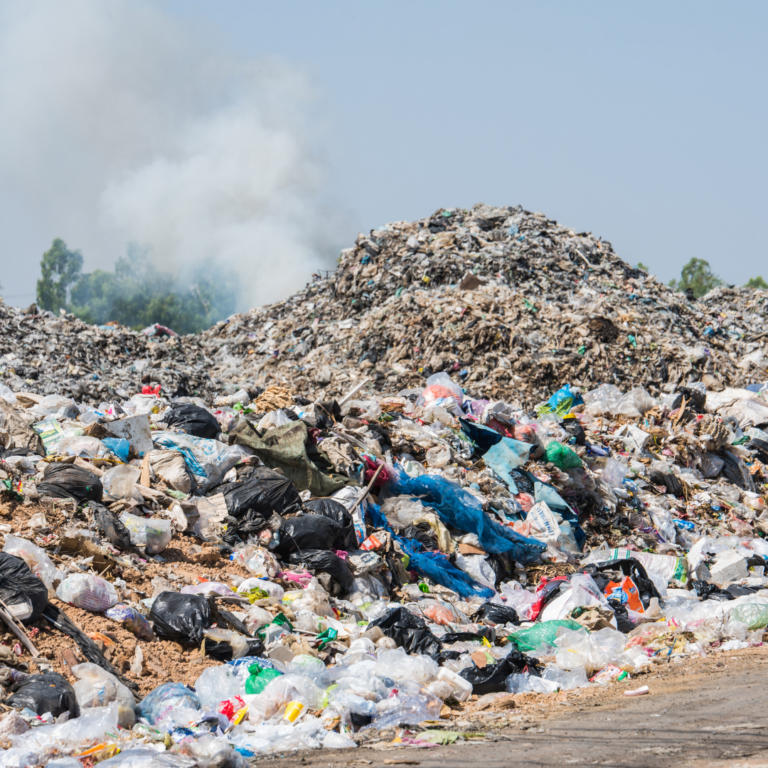 How to Properly Dispose of Household Junk