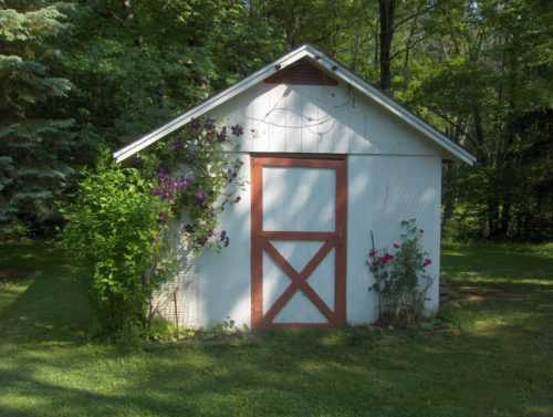 shed removal