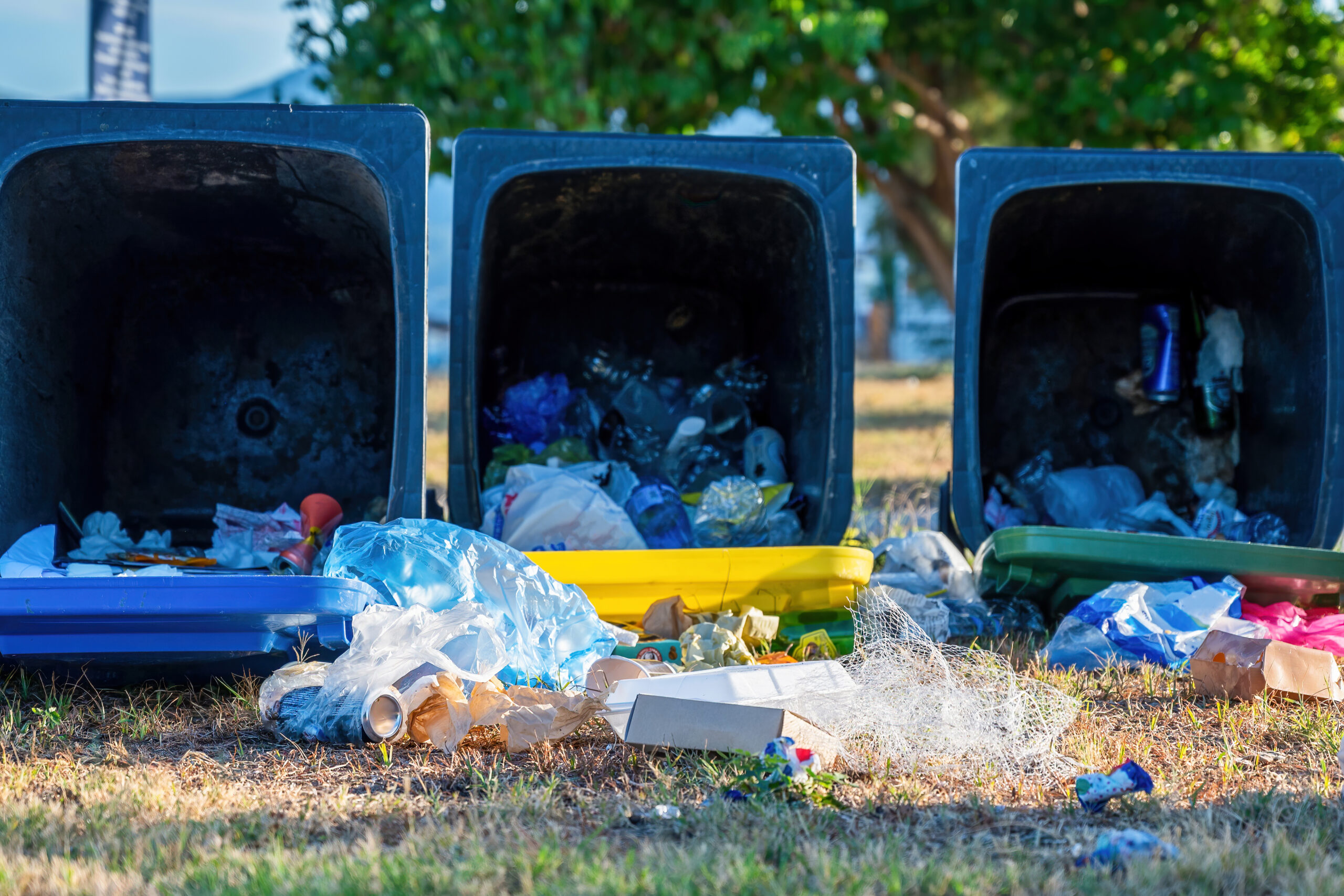 Dropped dumpsters in Olympiada, Greece junk desposal