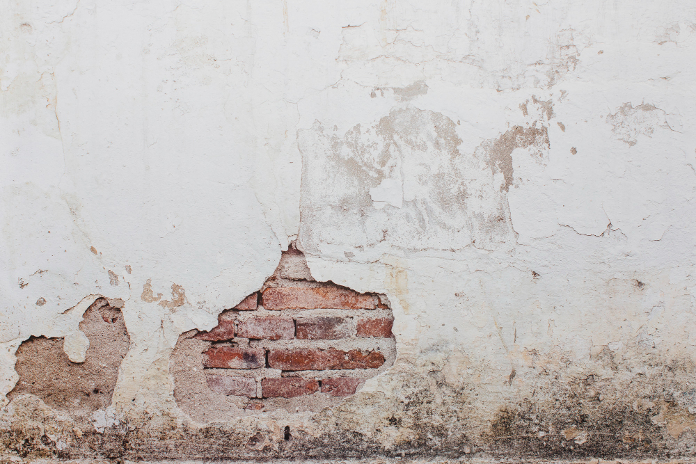 Drywall Removal