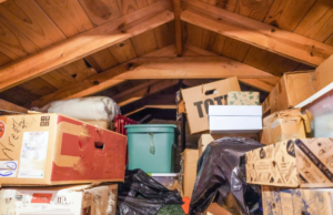 Attic Cleanout