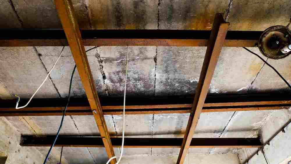 Ceiling Grid Demolition Ceiling Grid Demolition