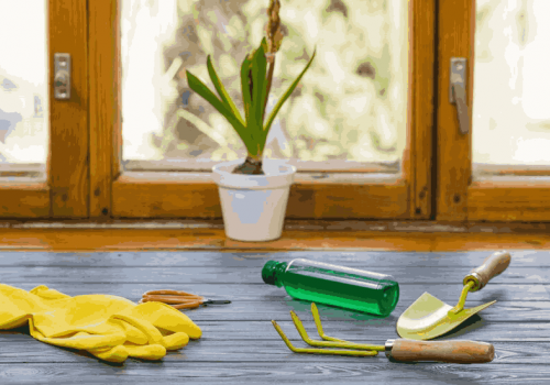 Spring Cleaning Made Easy: Junk Removal Checklist